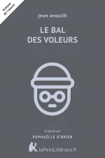 Le Bal des voleurs